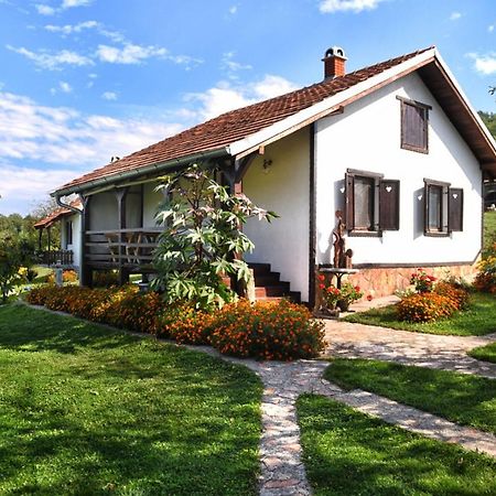Etno Selo Moj Zavicaj Villa Gornji Milanovac Eksteriør bilde