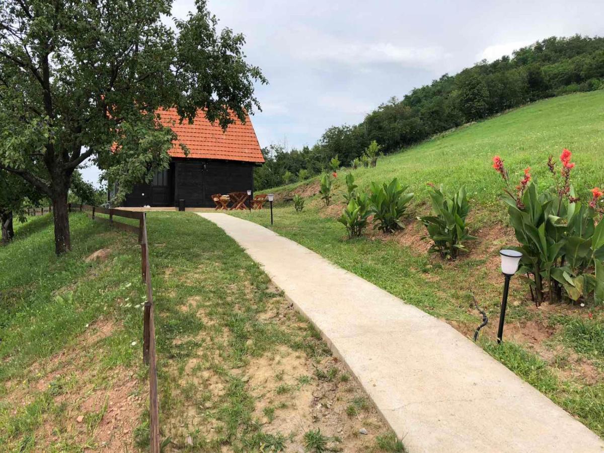 Etno Selo Moj Zavicaj Villa Gornji Milanovac Eksteriør bilde