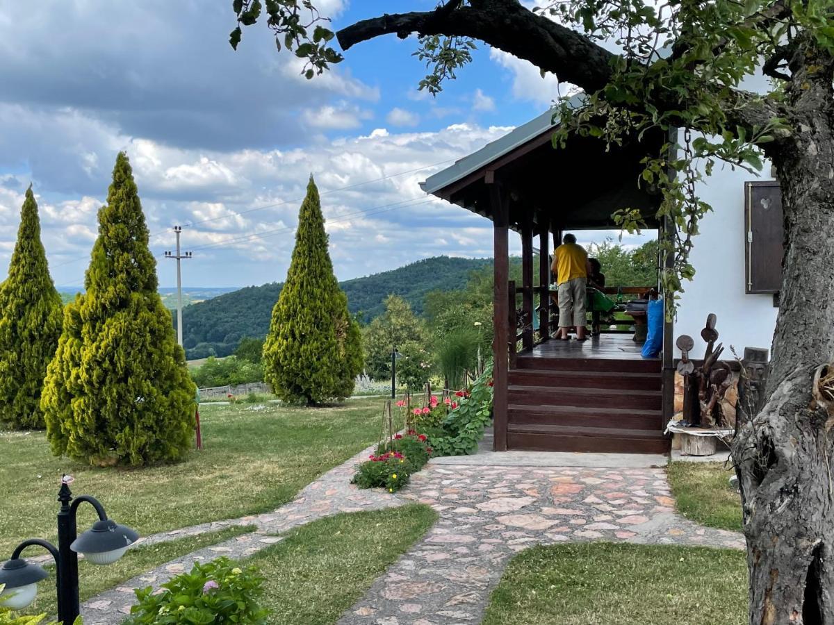 Etno Selo Moj Zavicaj Villa Gornji Milanovac Eksteriør bilde